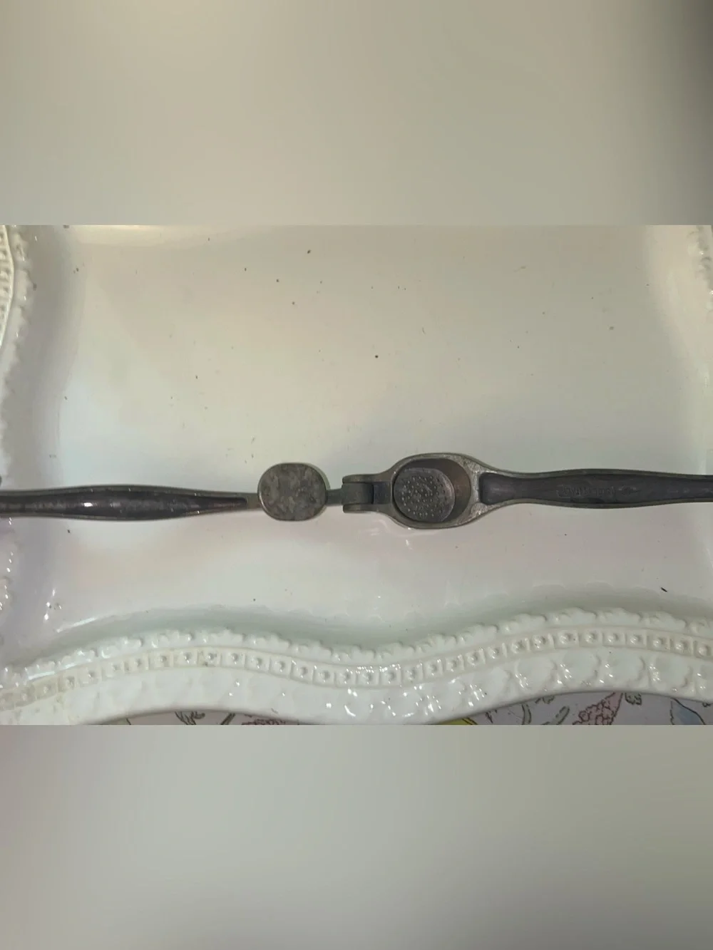 Italian cast aluminum garlic press